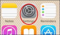 کوکی، کش، تاریخچه مرورگرهای اینترنت در آیفون