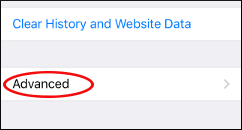 کوکی، کش، تاریخچه مرورگرهای اینترنت در آیفون