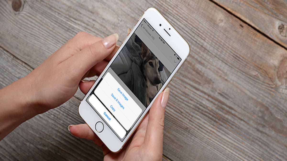 عکس های روی آیفون را کجا ذخیره کنم؟