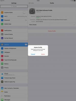 رفع ارور Unable to Verify Update iOS_3