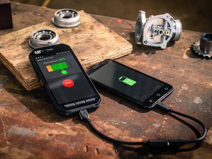 Cat_phones_S41