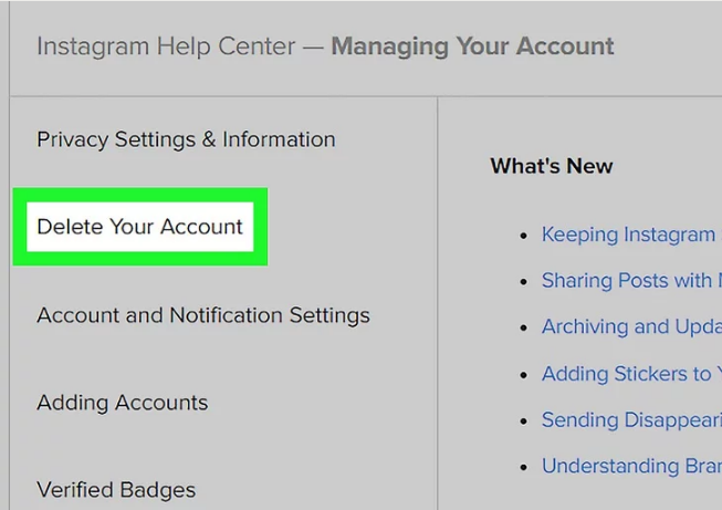 بر روی Delete Your Account کلیک کنید