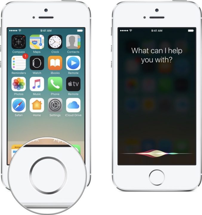 type to siri