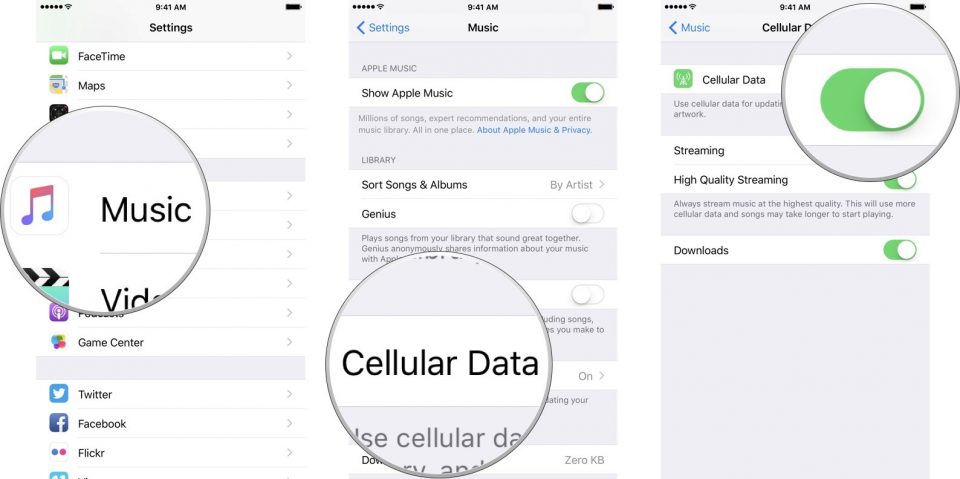 iPhone Cellular Data