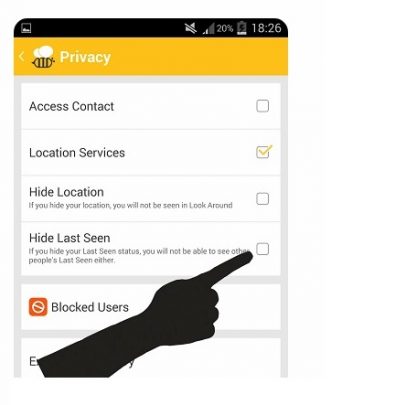 مخفی کردن آخرین بازدید در بیتالک