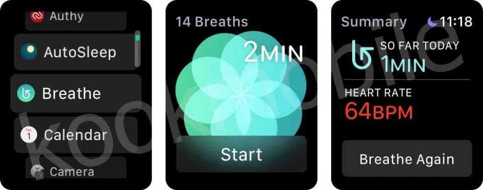 شروع-جلسه-تنفس-صحیح-با-برنامه-Breathe