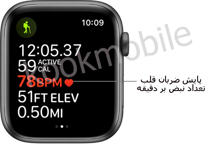 بررسی-ضربان-قلب-در-طول-تمرین-های-ورزشی