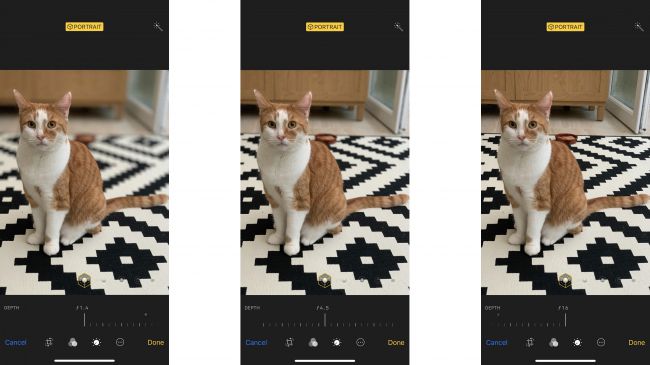 نمونه از عکاسی با دوربین iPhone XS Max
