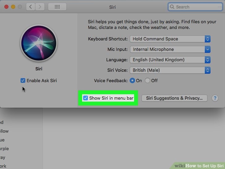 تیک در کنار کادر «Show Siri in menu bar» را بزنید