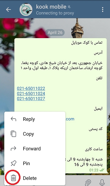 حذف پیام ارسال شده