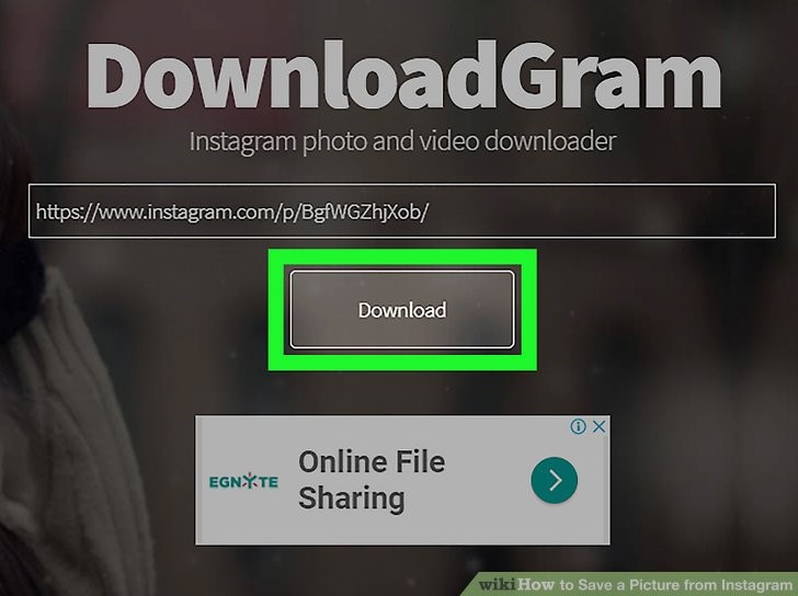 بر روی دکمهDownload کلیک کنید