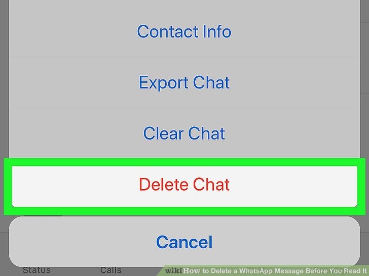 روی گزینه حذف گفتگو Delete Chat ضربه بزنید