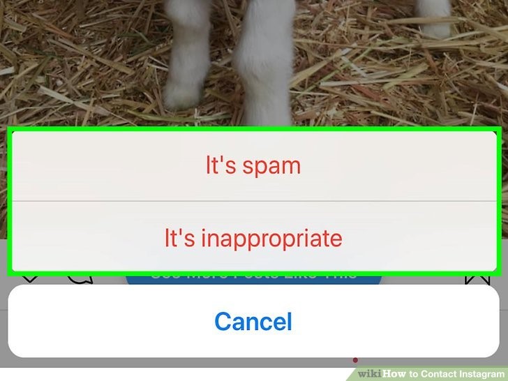 روی گزینه It's spam و یا It's inappropriate ضربه بزنید