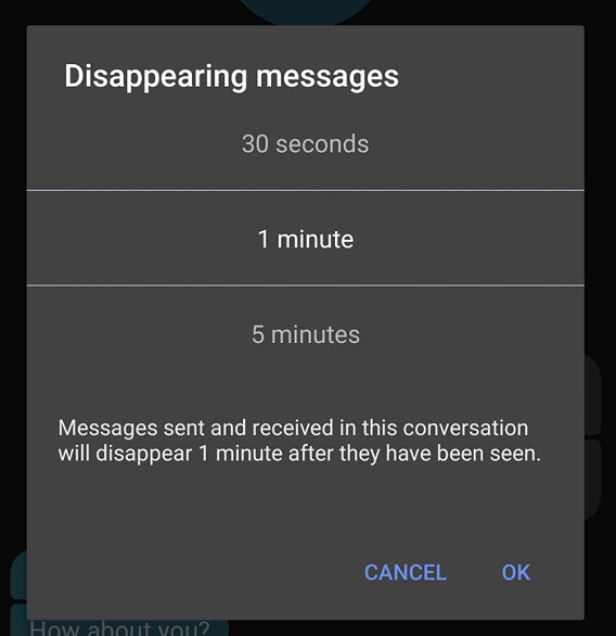 زمان ناپدید شدن پیام را در Disappearing messages انتخاب کنید