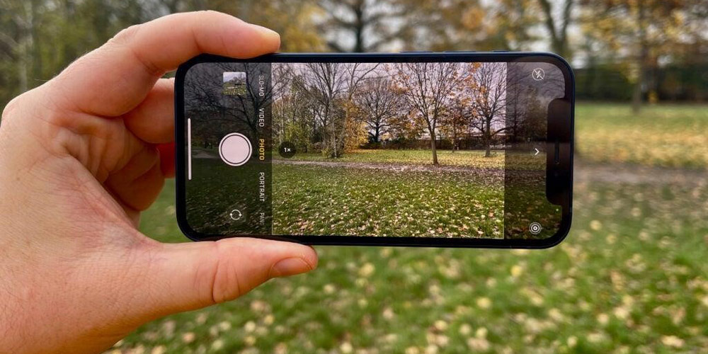 موبایل در دست و دوربین پشت آیفون 12 مینی از چند درخت در پاییز عکس می گیرد