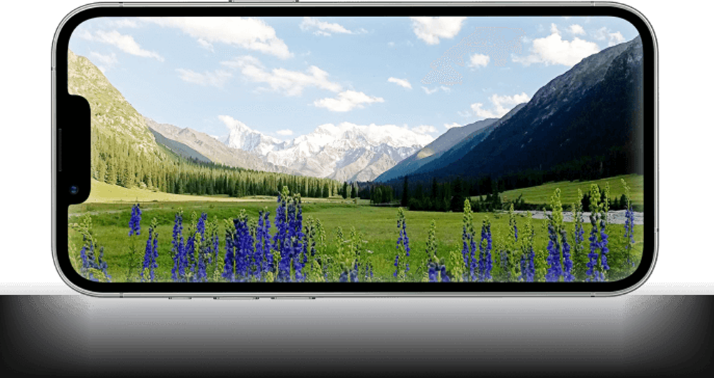 هوش مصنوعی (AI Camera)